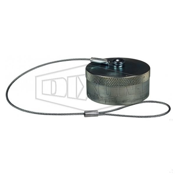 Dixon DQC W Wing Style Interchange Dust Cap, 1/4 in Nominal, Steel W2DC - main